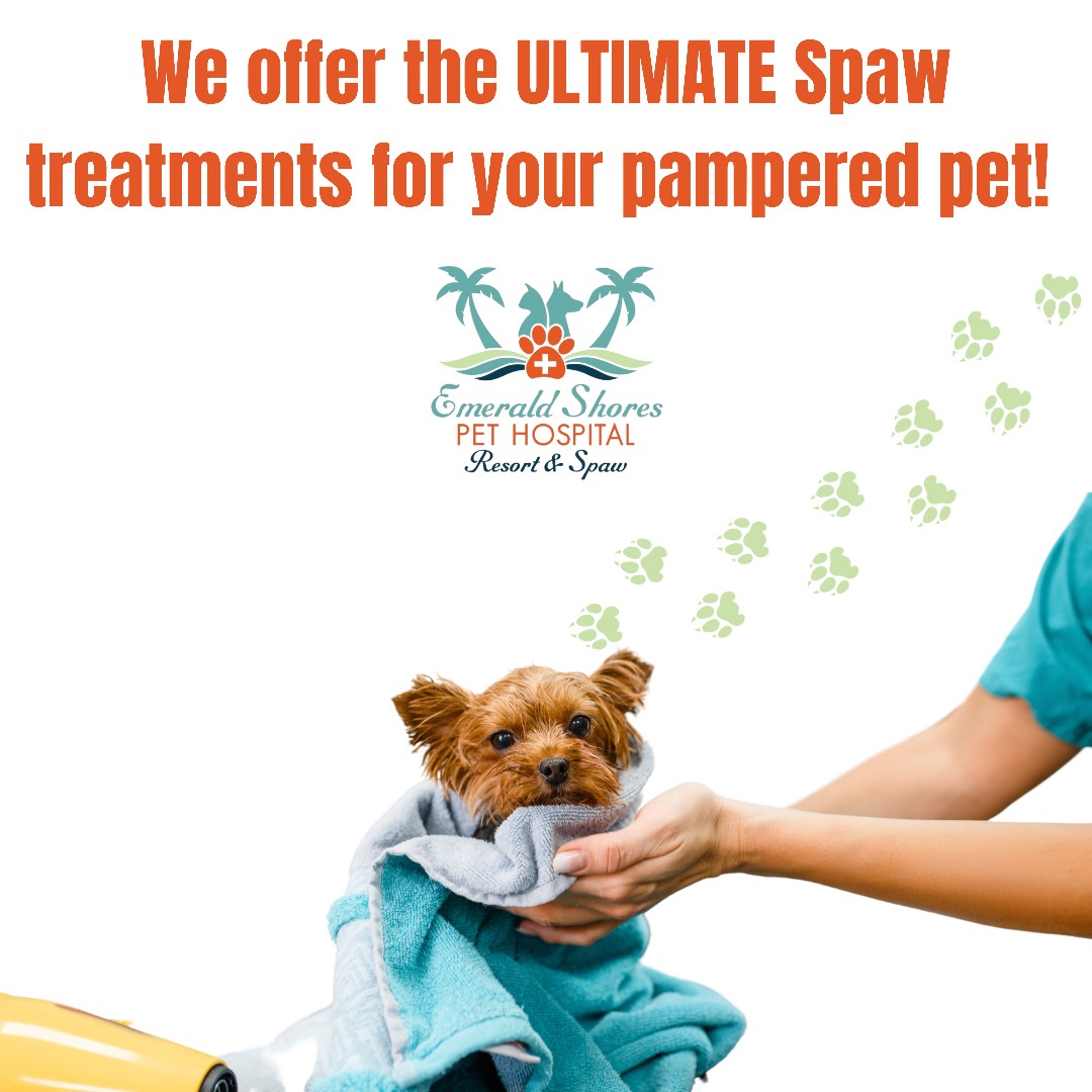 We offer the Ultimate Spaw treatments for your pampered pet!